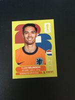 Panini FIFA World Cup Sticker NED 10